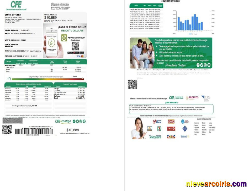 Mexico Federal Electricity Commission CFE utility bill, 2 pages